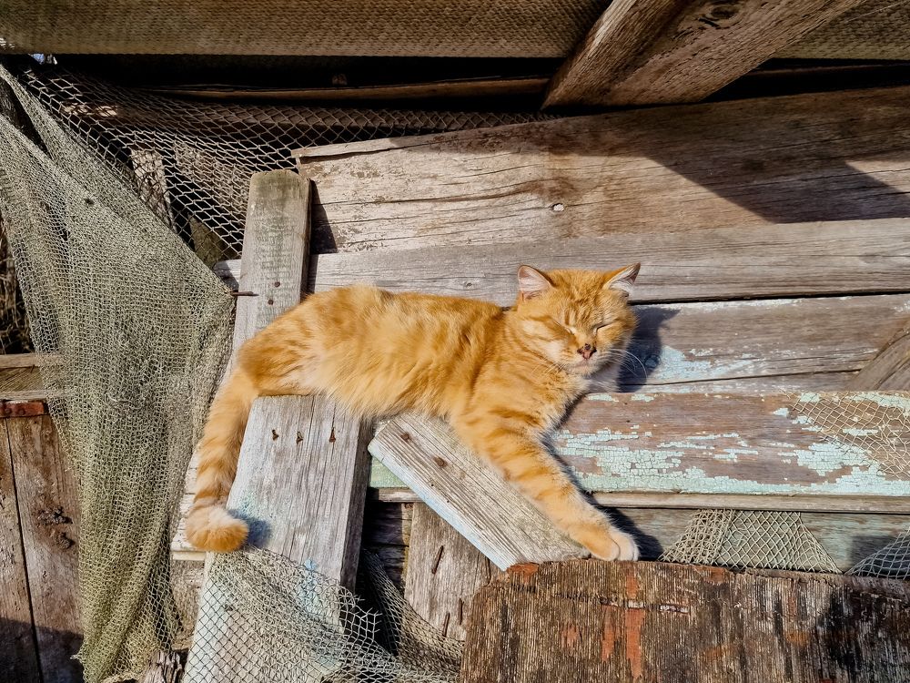 Photograph by Лариса Когтева