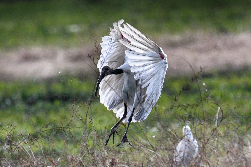 Photograph by Kosygin Leishangthem