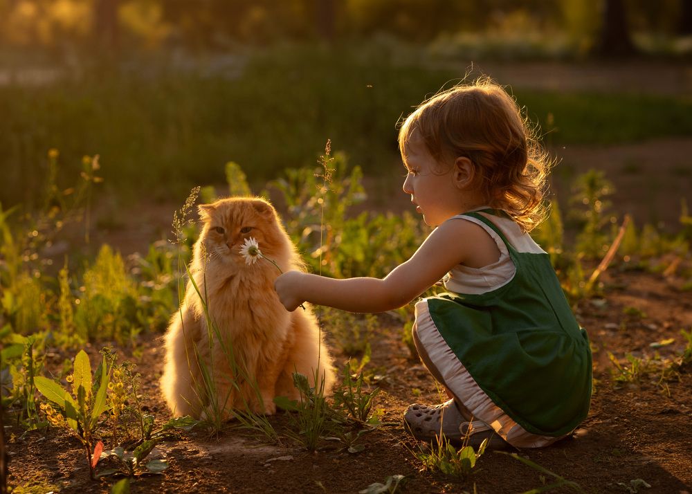 Photograph by Лиана Шалыгина