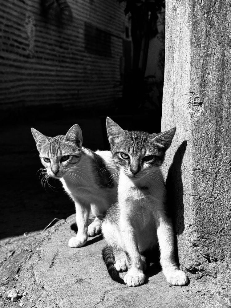 Photograph by Ирина Сатырь