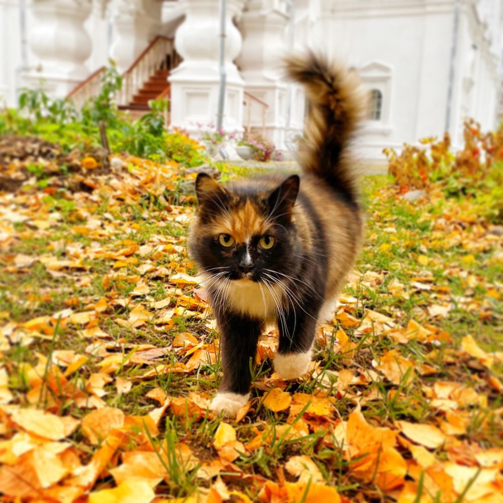 Photograph by Евгений Фисун