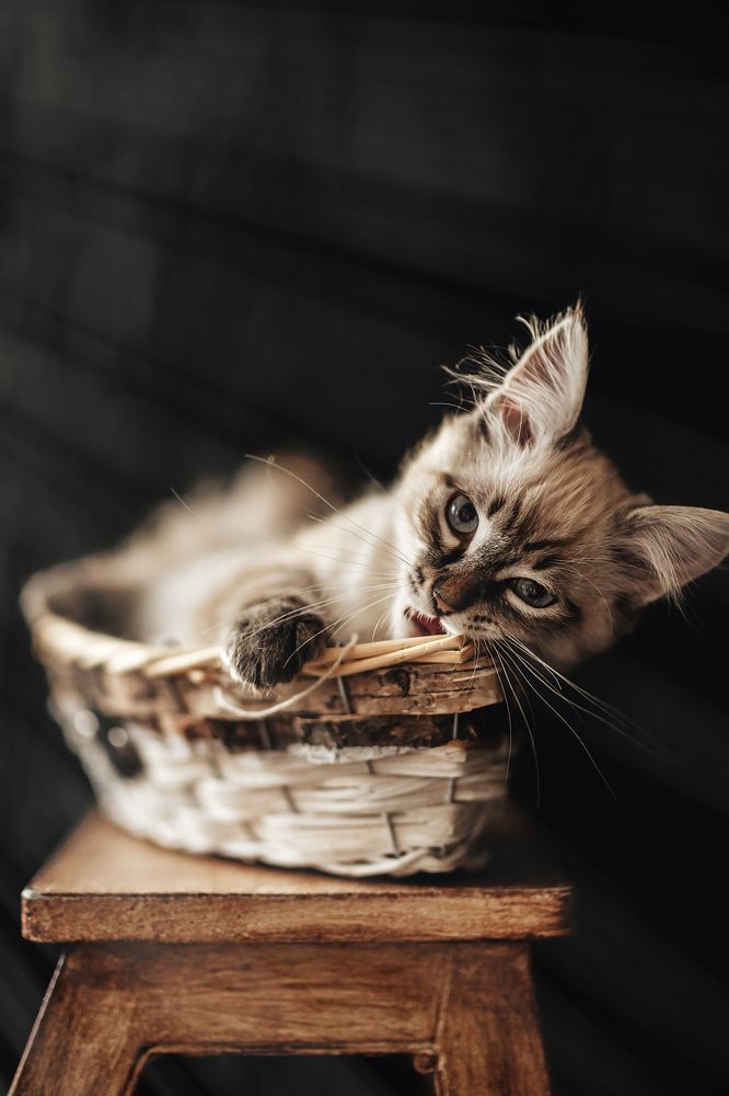 Photograph by Наталия Ватутина