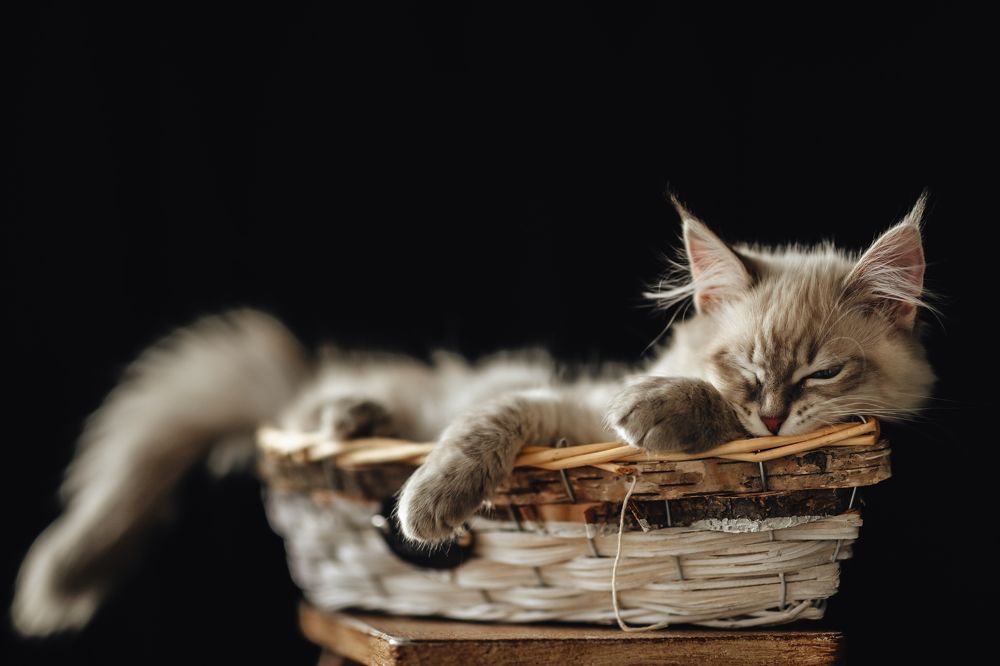 Photograph by Наталия Ватутина