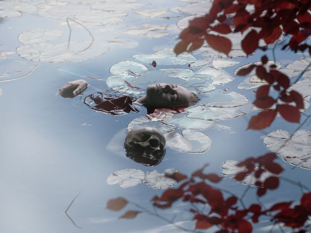 Фотография автора Шипов Олег