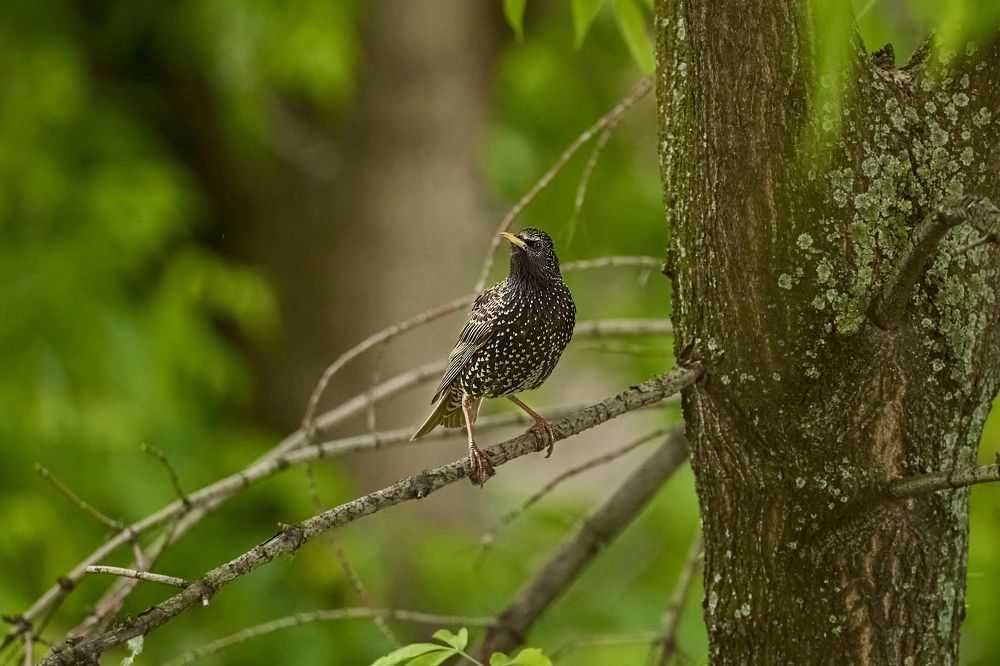 Photograph by Ахмылова Виктория