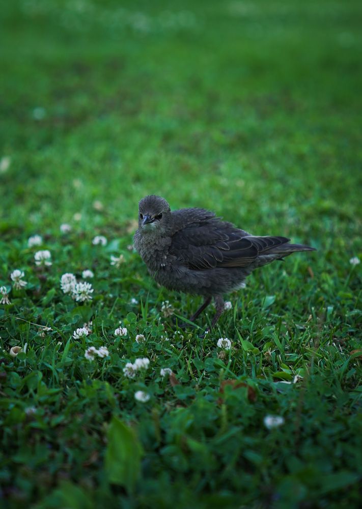 Photograph by Maria Zagagul