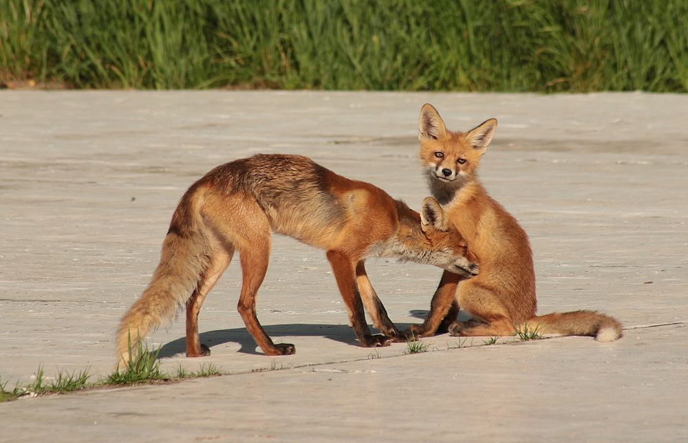 Photograph by Александр Кожевников