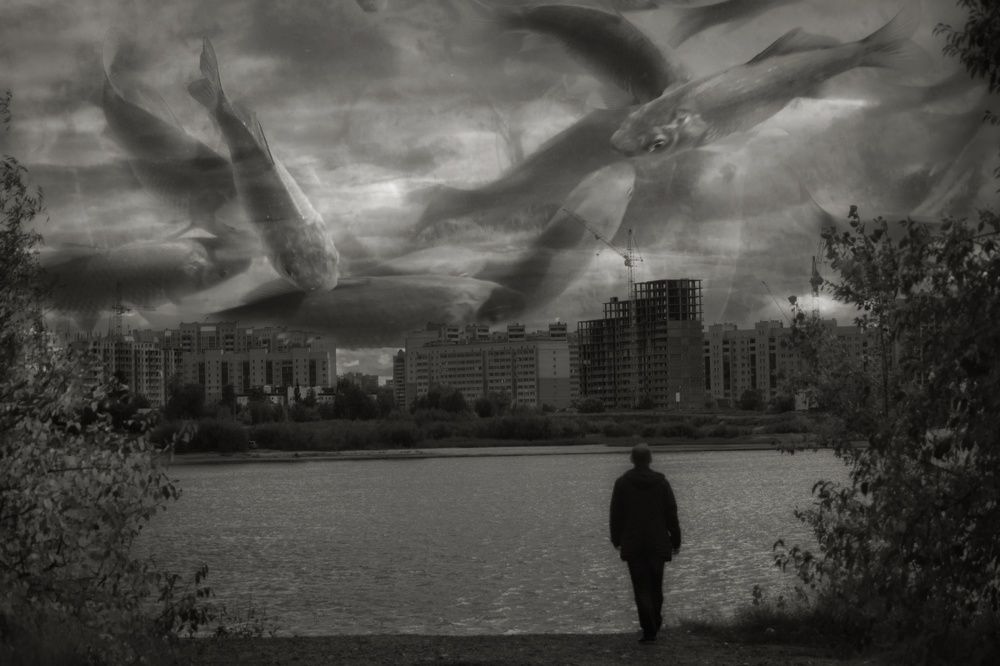 Photograph by Михаил Мостовой