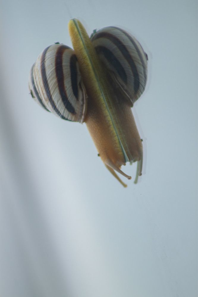 Photograph by Владислав Капанов