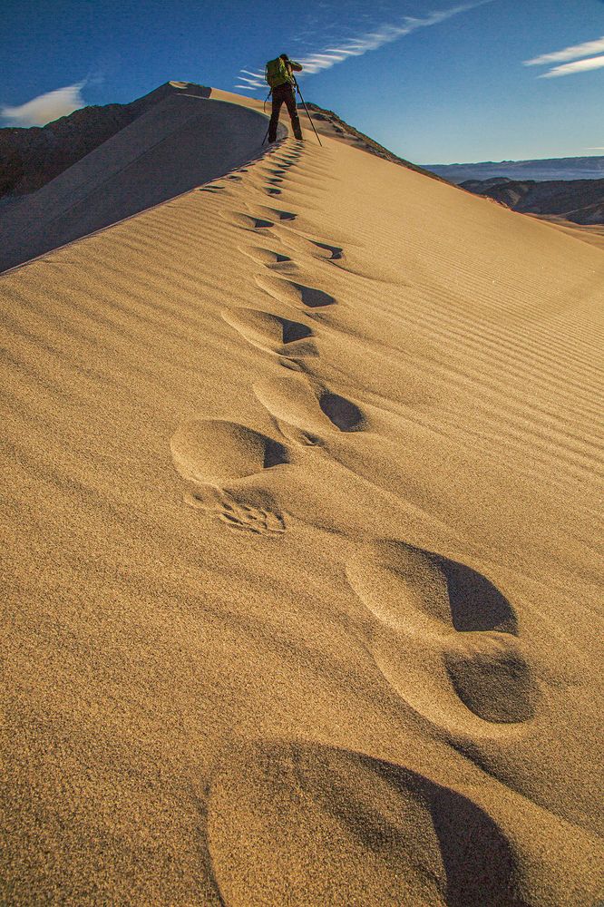 Фотография автора Marina Martorelli