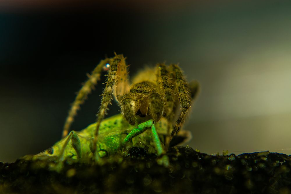 Фотография автора Jose Marcos Carvajal Tarazona