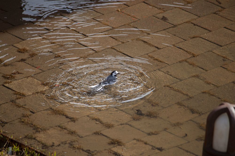 Photograph by Владислав Капанов