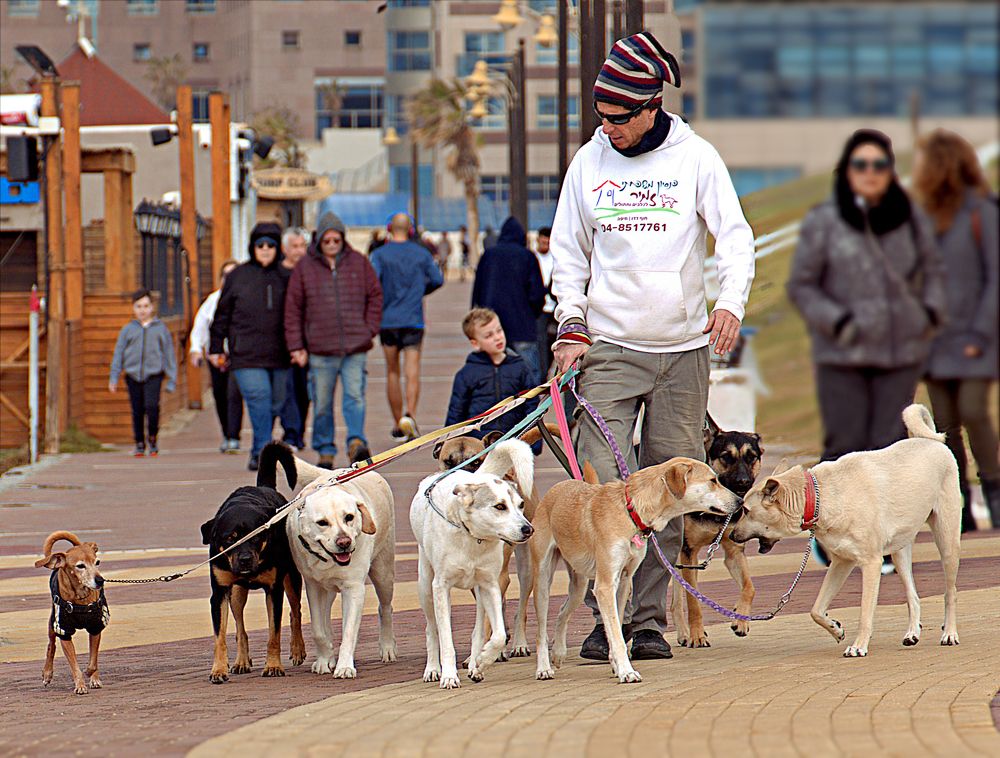 Photograph by lev senter