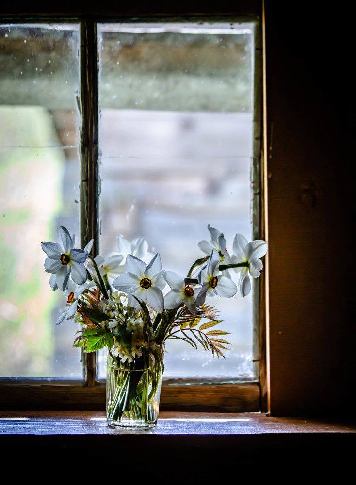 Photograph by Ольга Сафронова