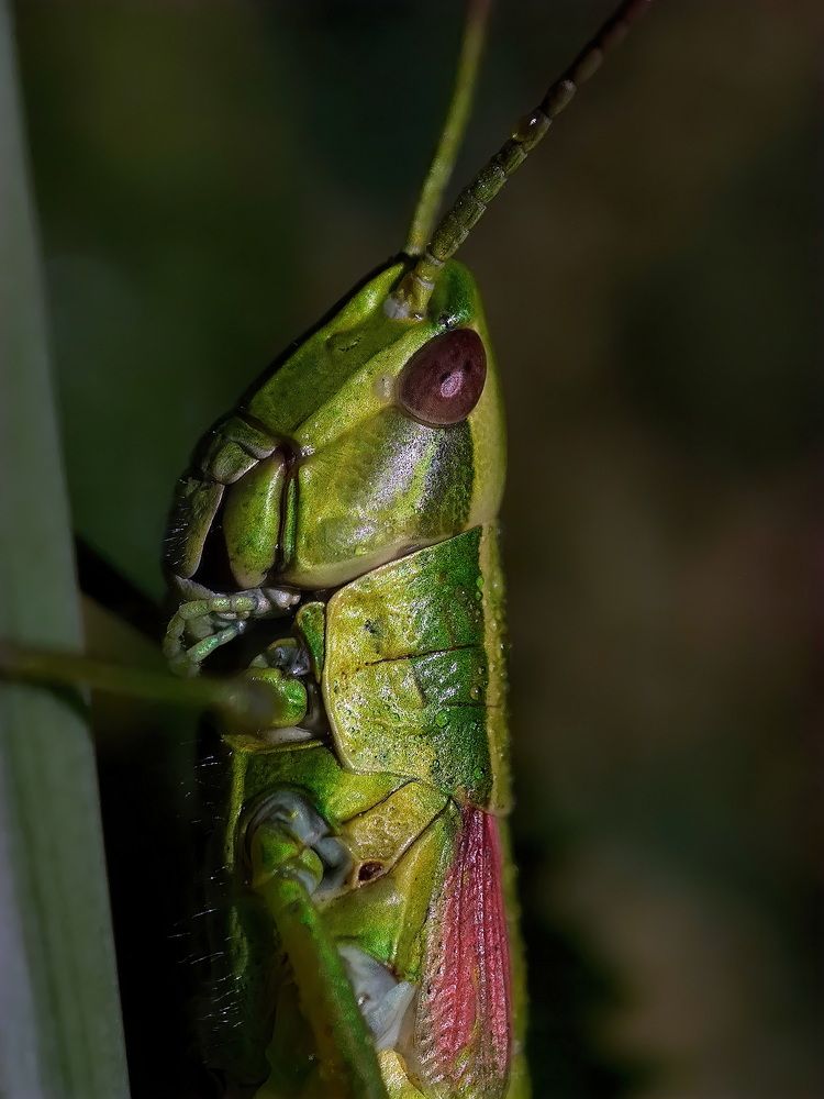 Photograph by Дмитрий Кузнецов