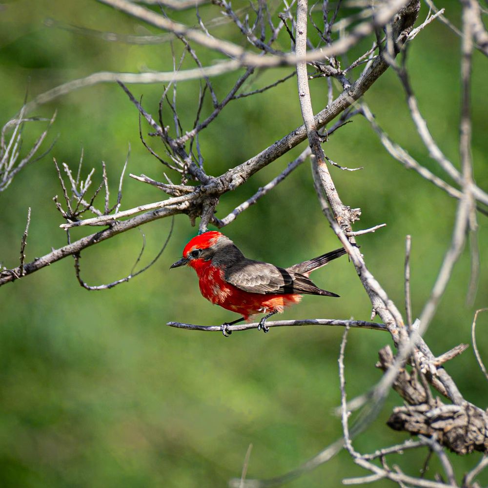 Photograph by Ascanio Fernández Pinto Urbina