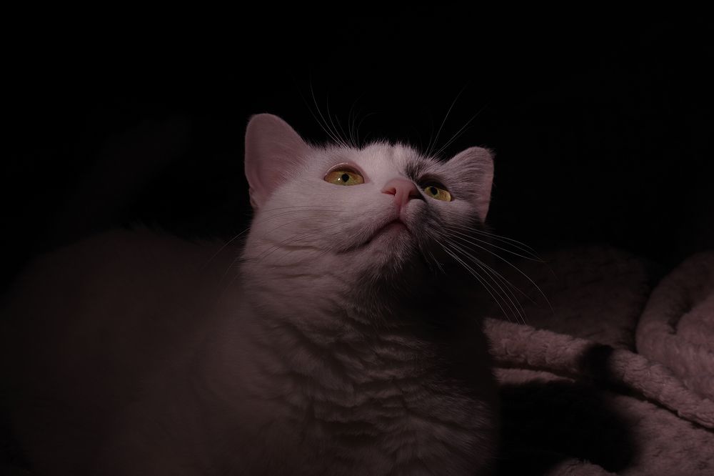 Photograph by Екатерина Бурикова