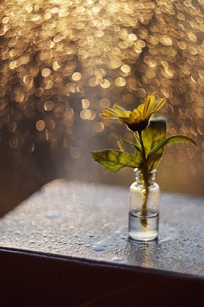 Photograph by Лапшина Владлена