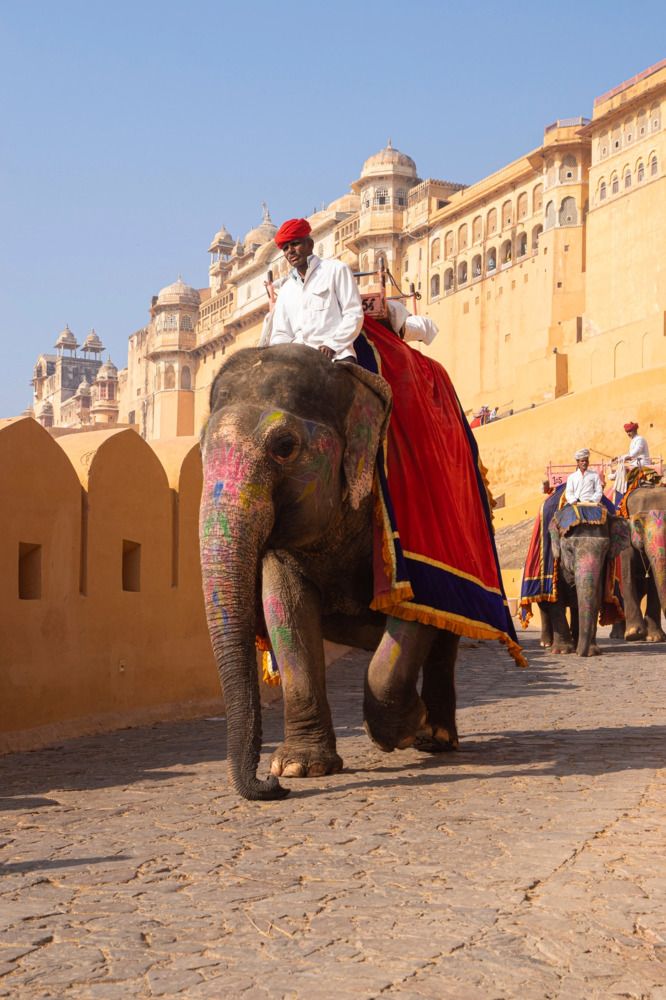 Photograph by Анна Васильева