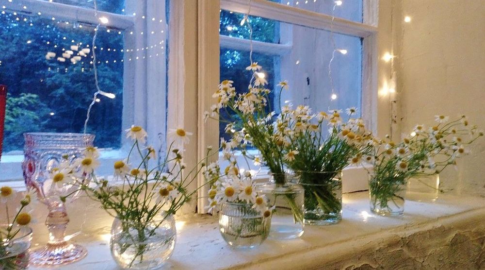 Натюрморт с ромашками