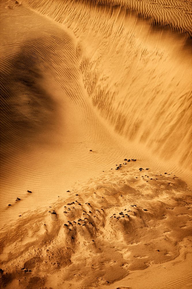 Фотография автора Vasilev Kris