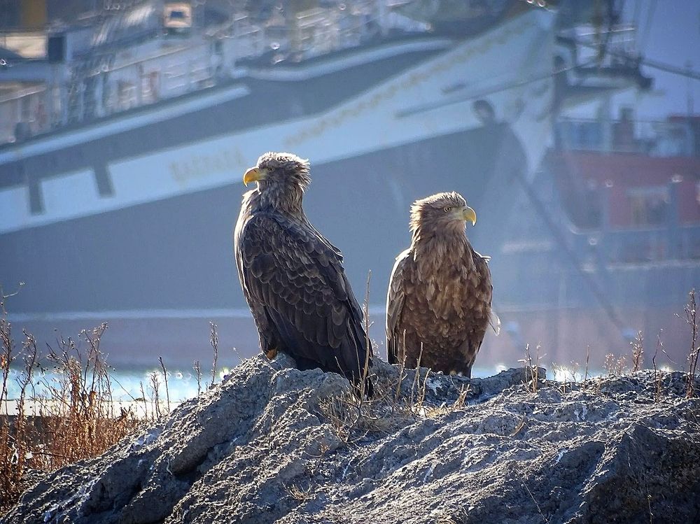 В ожидании третьего.