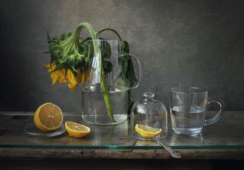 Photograph by Елена Виноградова