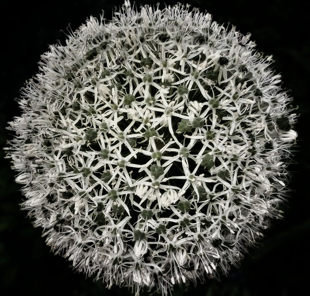 Photograph by Людмила М