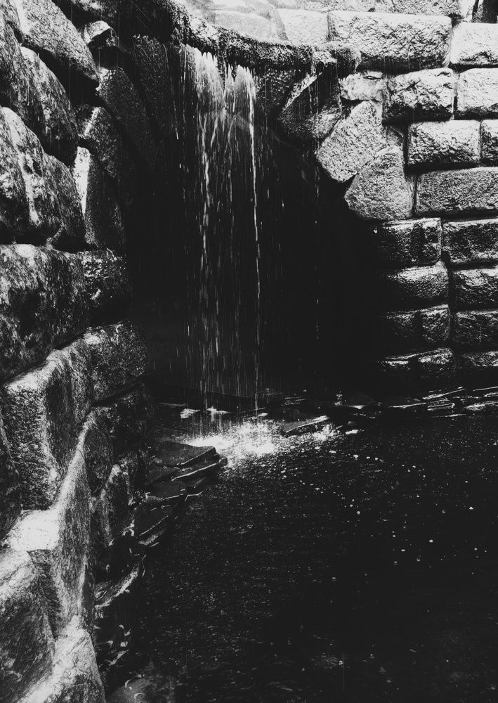 Photograph by Людмила М