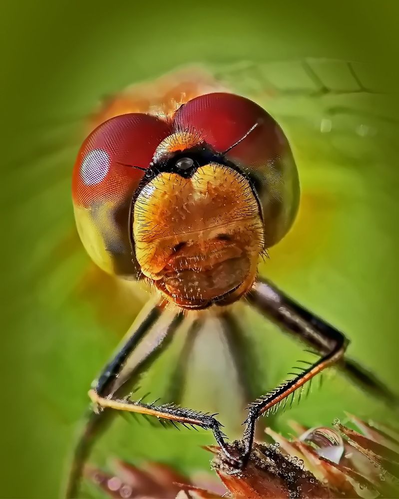 Photograph by Кузнецов Дмитрий