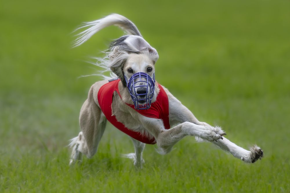 Photograph by eric tkindt