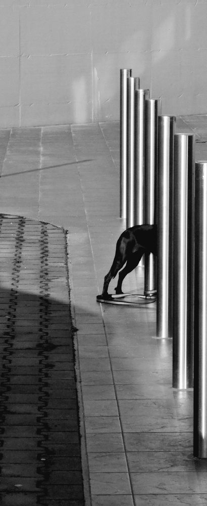 Photograph by Angelo Pascale
