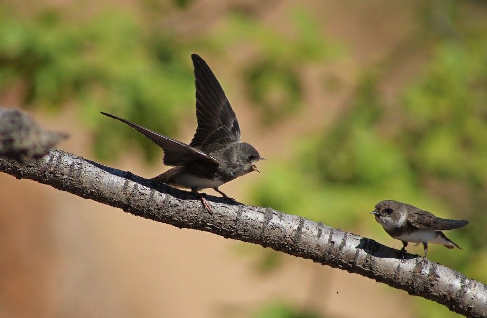 Photograph by Galina Tsmyg