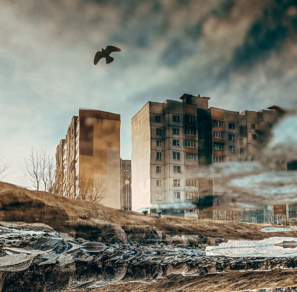 Photograph by Татьяна Яцкевич