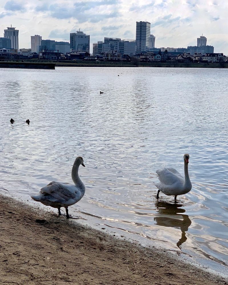 Photograph by Надежда Смирнова