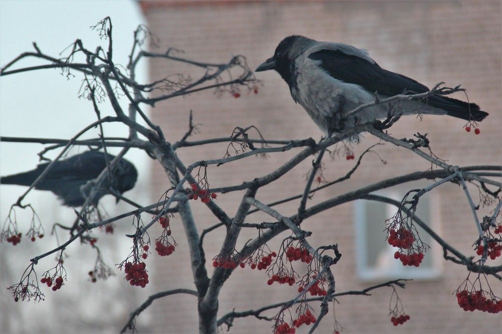 Photograph by Венера Чуйкова