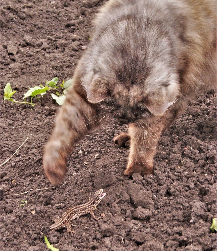 Photograph by Венера Чуйкова