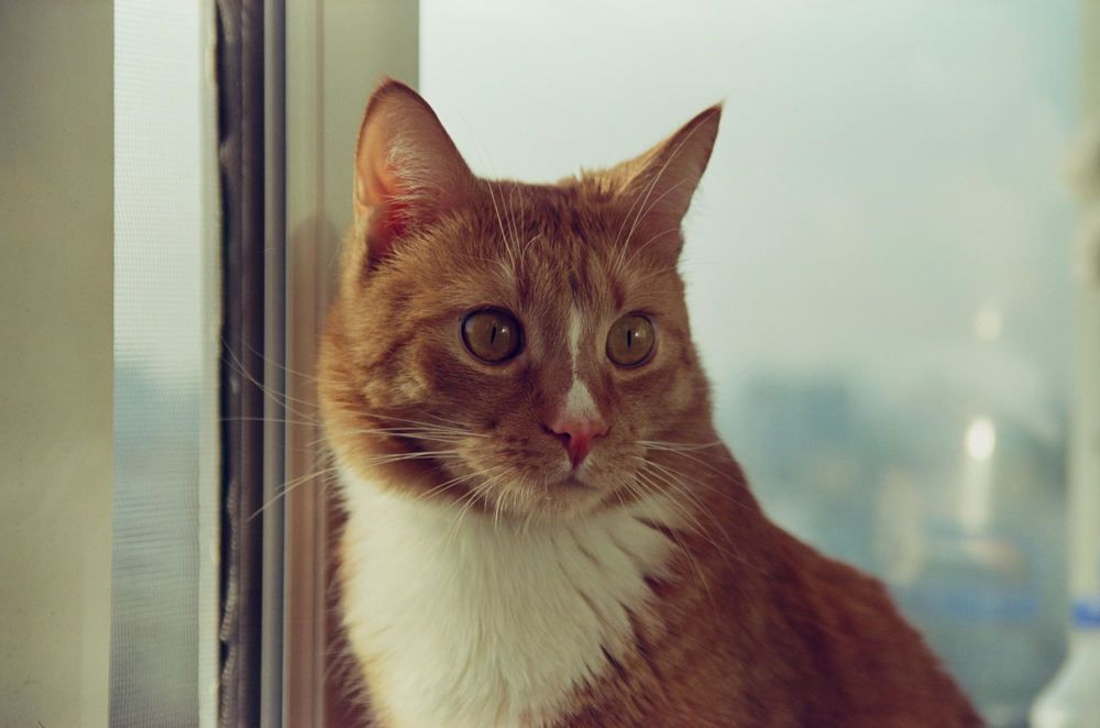 Photograph by Anastassia Dyubkova