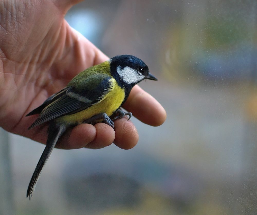 Photograph by Сергей Булат