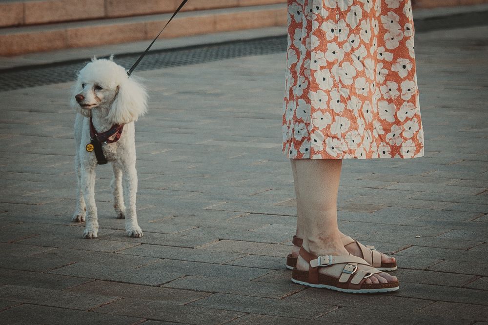 Photograph by Tatiana Shtun