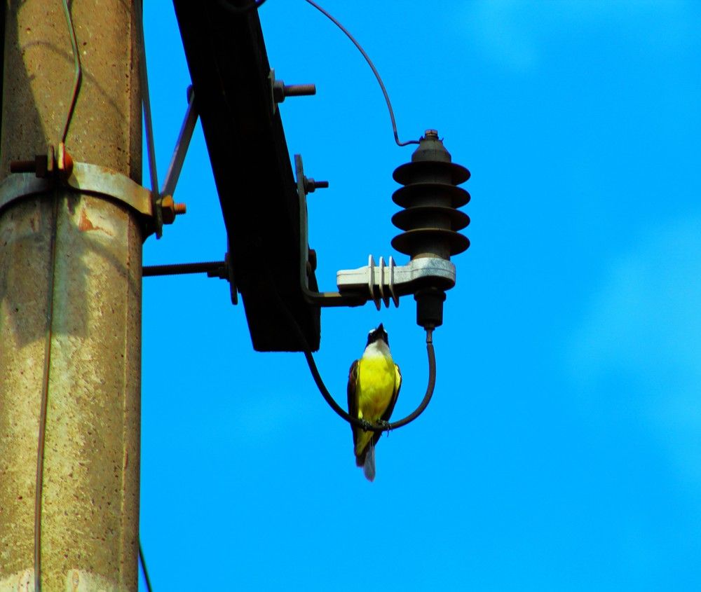 Photograph by Régis Santos