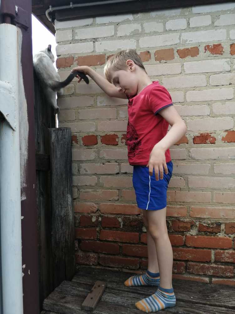 Фотография автора Татьяна Савранчук