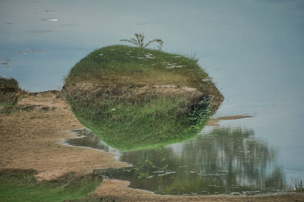 Фотография автора ABHISHEK SHAH