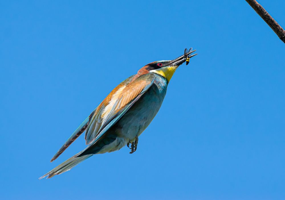 Фотография автора Алексей Савельев