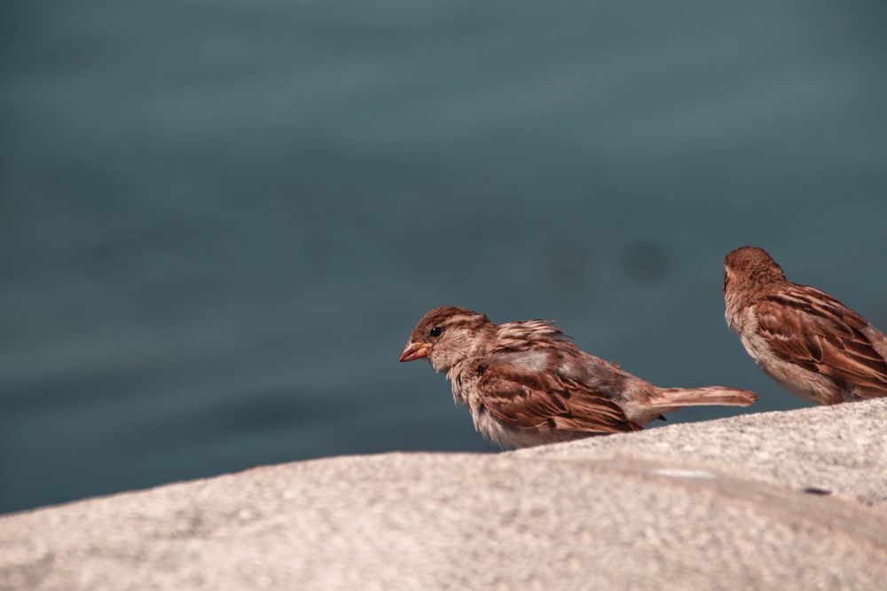 Photograph by Евгения Сенченко