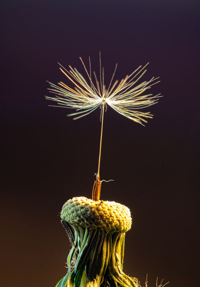 Photograph by Дмитрий Давидов