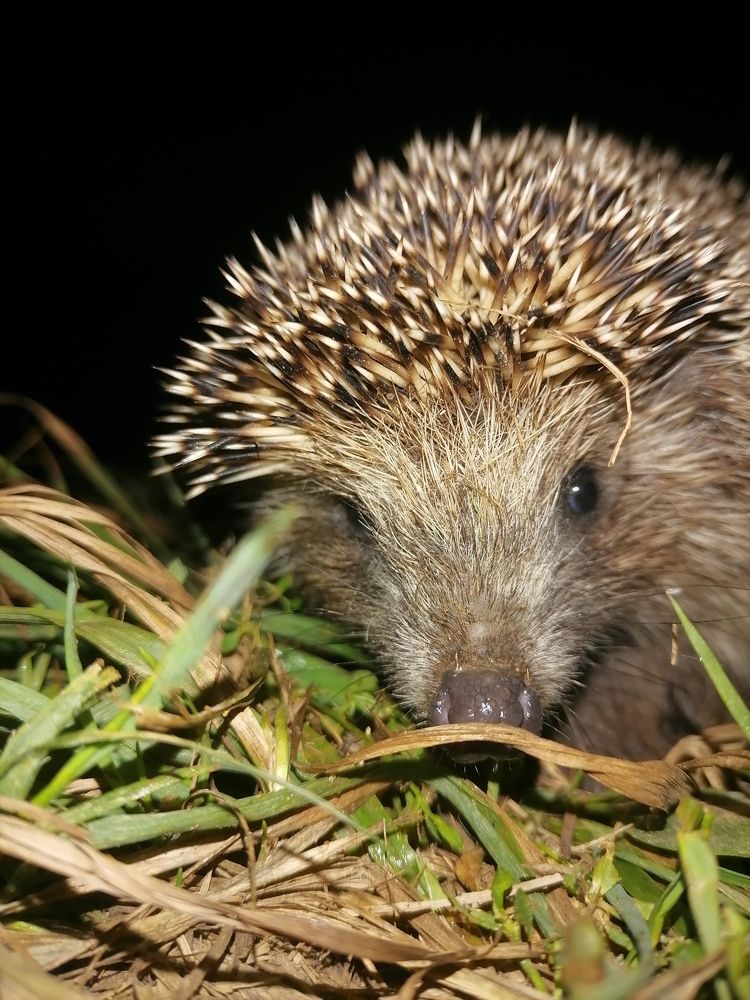 Photograph by Андрей Трякин