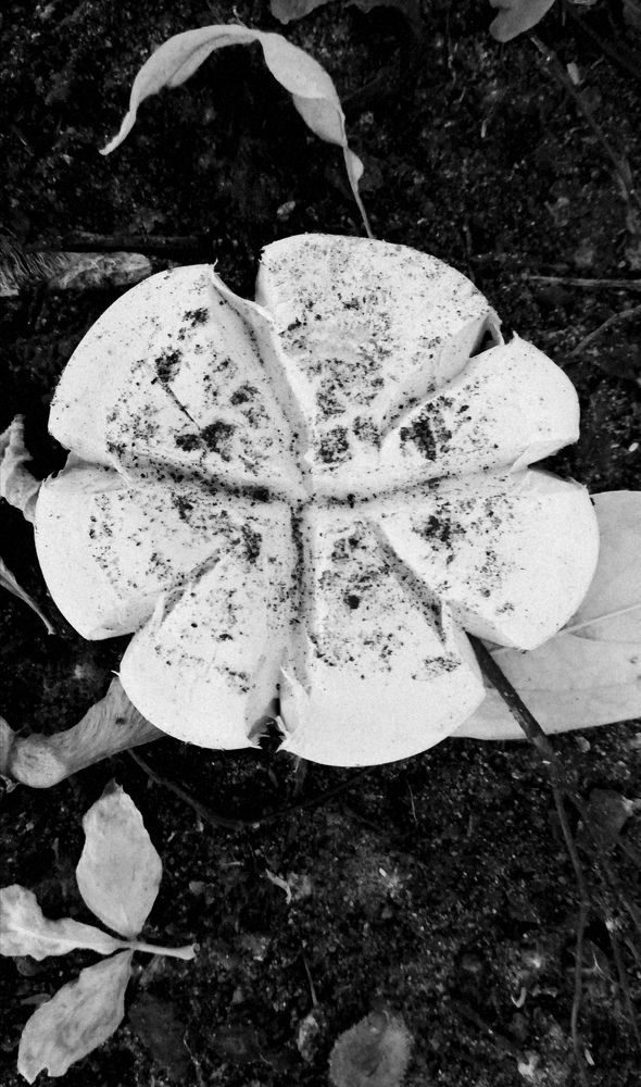 Photograph by Лариса Неудачина