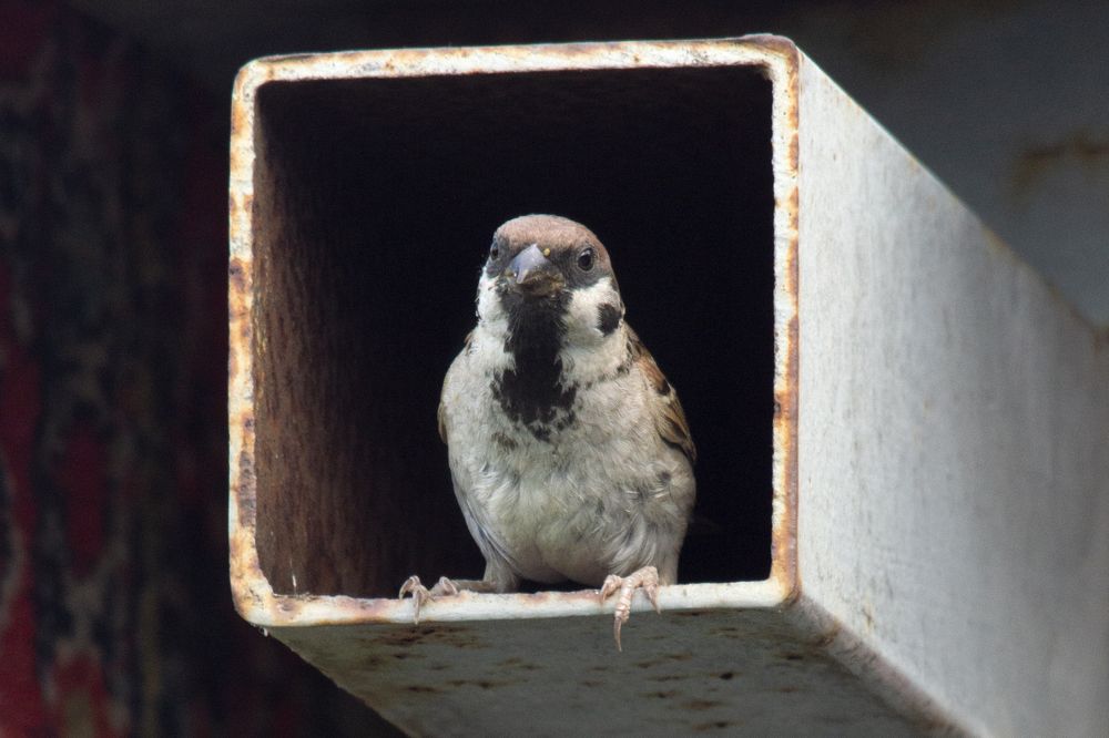 Photograph by Юлий Стремский