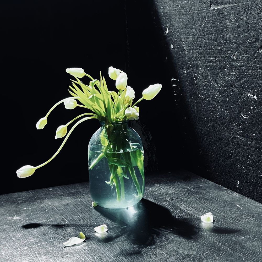 Photograph by Полина Босько